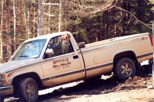 A Reilly Well Drilling white pickup truck in a forest with a dog perched out of the window